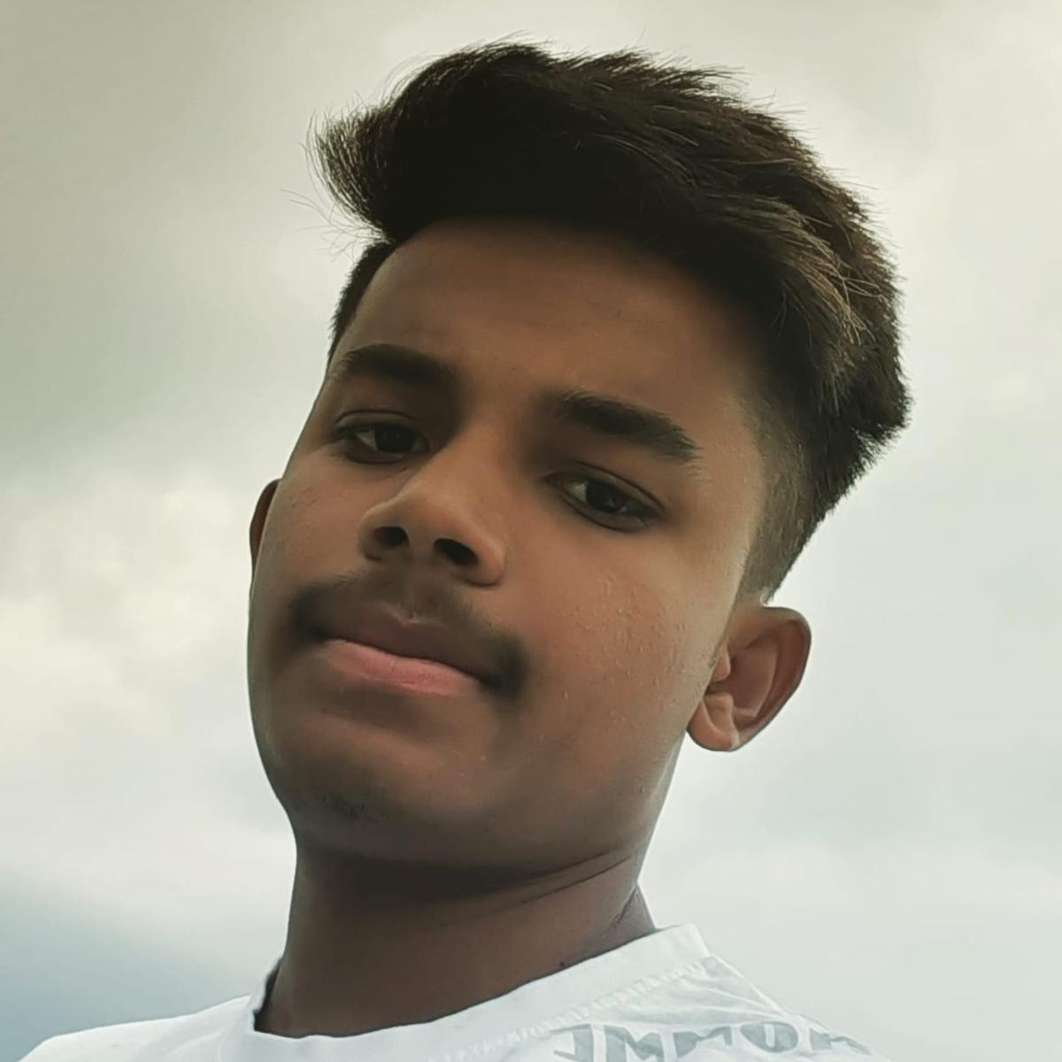 Anil Kumar Meda - Professional Developer